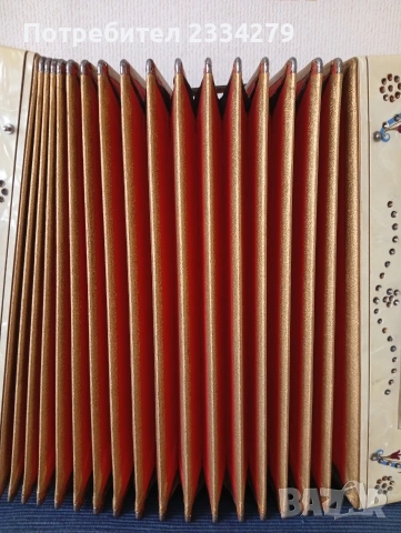 Стар немски акордеон и класическа куха китара пълдин, акустична Орфей" 1970год., снимка 8 - Китари - 54013593