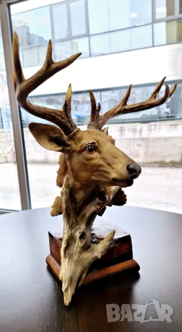 Нова Статуетка Елен Фигура Лос Трофей - 40см, снимка 5 - Статуетки - 31783544