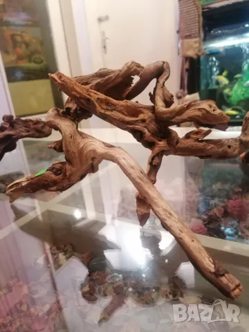 Продавам изкуствени медузи за аквариум, снимка 9 - Аквариуми - 47764087