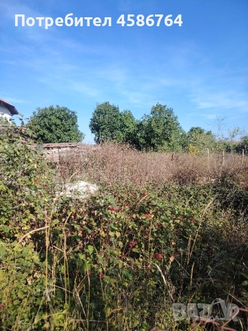 парцел Добрева чешма 55000€, партида вода