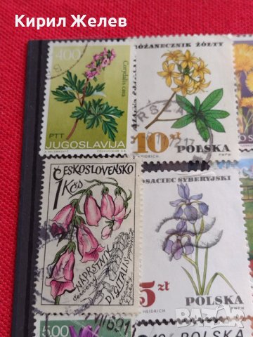 Пощенски марки смесени ЦВЕТЯ от цял свят перфектно състояние за КОЛЕКЦИЯ 22632, снимка 2 - Филателия - 40364561