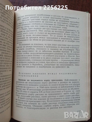 Практическо овощарство, снимка 5 - Специализирана литература - 50611699