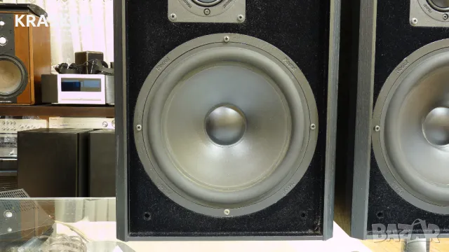 MAGNAT MSP70, снимка 7 - Тонколони - 47623733