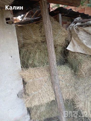 продавам Бали сено цена 8 лв.,бали слама,рола царевичак, снимка 4 - Други - 43155951