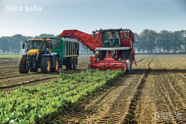 Гуми марка BKT селскостопански и индустриалнаи 10,24,26,32,38,42 цола , снимка 3 - Гуми и джанти - 38542529