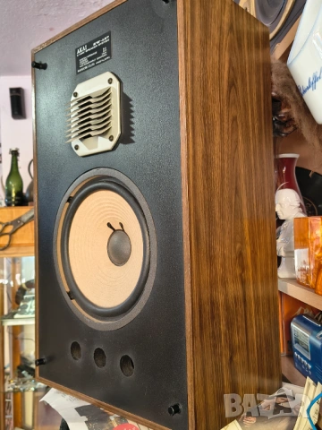 Akai SW-127, снимка 8 - Тонколони - 54331042