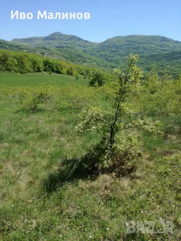 продавам два имота в село Лакатник 