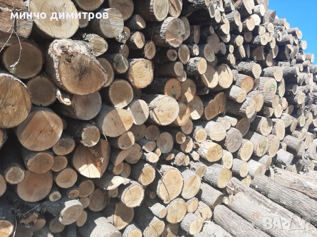 предлагам дърва за огрев дъб и бук тел 0895977422