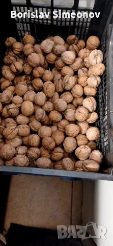 Продавам орехи  хубава ядка
