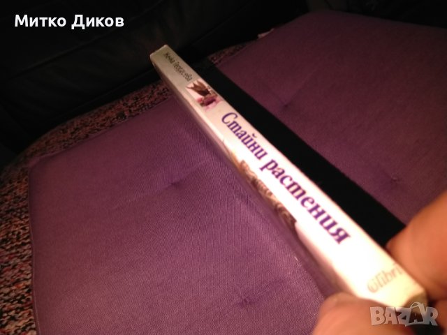 Стайни растения Жечка Георгиева книга , снимка 2 - Езотерика - 42734836