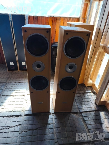 Тонколони Clatronic 300 W 