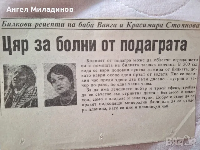 Зайча сянка срещу подагра, Аспарагус, аспержа