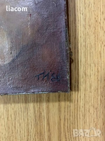 ТОДОР ИГНАТОВ масло/платно градси пейзаж, снимка 5 - Картини - 33921717