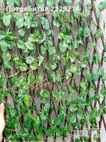 Декоративна ограда, снимка 2 - Огради и мрежи - 32142481