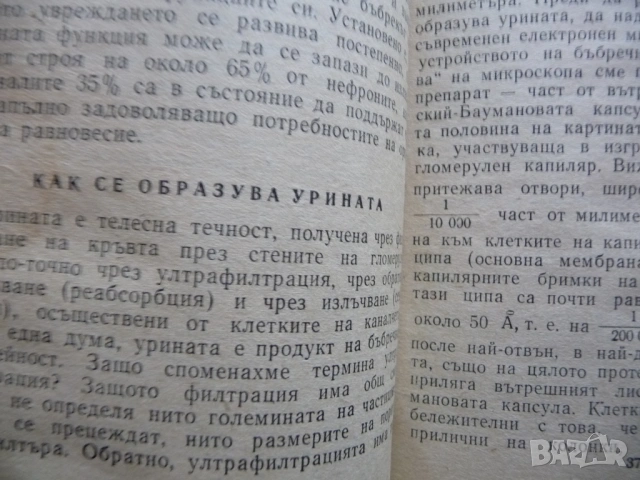 Какво трябва да знаем за бъбреците Никола Шумаров Поредица Здраве урина микроби алкохол тютюн кафе, снимка 3 - Специализирана литература - 53244869
