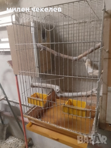 клетка за средни папагали за развъждане, снимка 2 - Папагали - 51550269