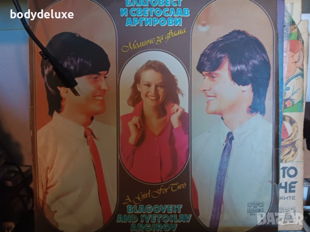 грамофонни плочи, снимка 3 - Грамофонни плочи - 35788483