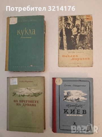 Пътят за Киев - Семен Скляренко