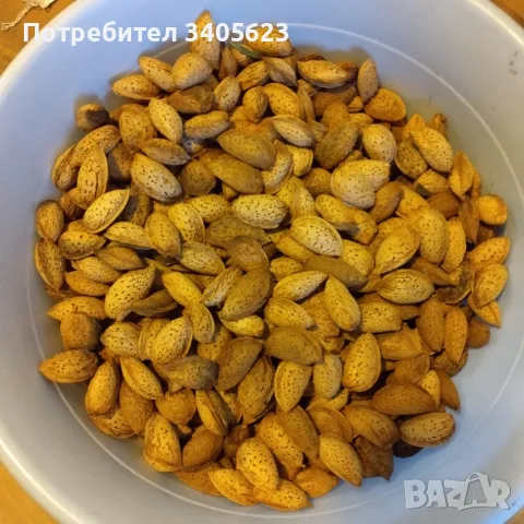 Бадеми меки 2026