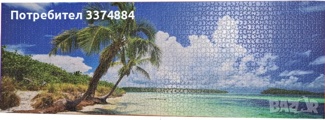 Панорамен пъзел Heye от 2000 🧩 - Райски палми, Александър фон Хумболт, снимка 3 - Пъзели - 53915699