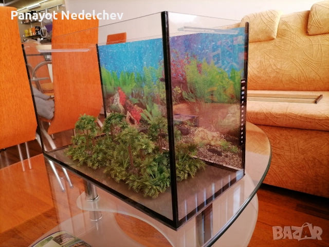Аквариум , снимка 9 - Аквариуми - 52963708