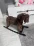 Люлеещо се конче за деца, снимка 1