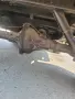 Газ 69. 1966 година, снимка 12