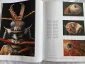 Специално колекционерско издание на списание National Geographic България – „100 най-добри снимки“, снимка 5