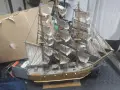 морско плътнохотче, снимка 1
