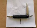 Голяма джобна ножка, снимка 4