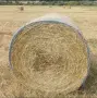Бали ливадно сено и люцерна, снимка 2