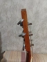 Акустична китара Richwood RD17, снимка 9