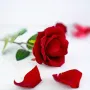 Кутия за пръстен или обици в формата на роза, снимка 5