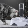 Дозираща купичка за вода и купичка за храна за котки, снимка 5