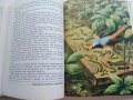 Занимательная Ентомология - Н.Плавильщиков - 1990г., снимка 8