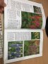 Цветна Енциклопедия - A-Z of perennials -Successful Gardening, снимка 11