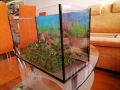 Аквариум , снимка 9