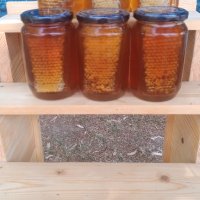 Пчелен прашец билков - реколта 2024, снимка 3 - Пчелни продукти - 14722628