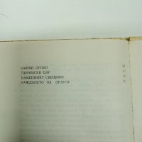 Петя Йорданова - Самодивски езера , снимка 9 - Детски книжки - 42635597