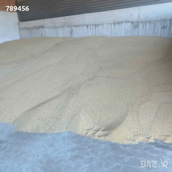 Бункерно просо, снимка 1