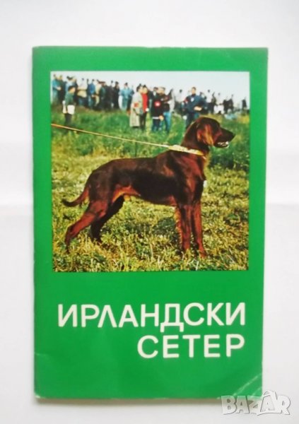 Книга Ловно куче Ирландски сетер 1980 г. БЛРС, снимка 1