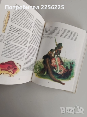 Животните от праисторическата епоха, снимка 5 - Детски книжки - 52214907
