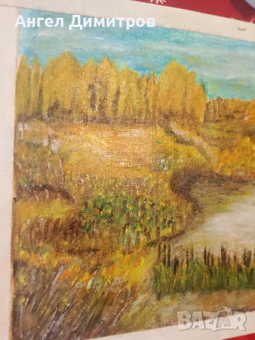 Маслена картина , снимка 6 - Картини - 51679390