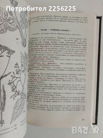 Билки и билкосъбиране, снимка 5 - Специализирана литература - 51113690