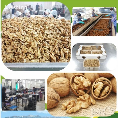  Реколта 2025г. Сушени плодове и зеленчуци Натурални сурови ядки и семена, снимка 8 - Други - 29430589