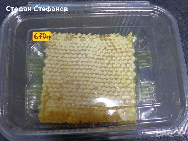 Пчелен мед във восъчна пита, снимка 4 - Пчелни продукти - 38495832