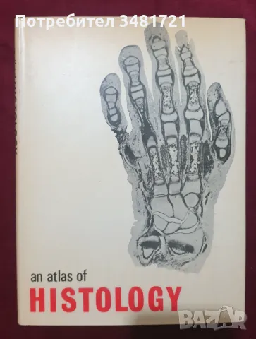 Хистологичен атлас / An Atlas of Histology, снимка 1