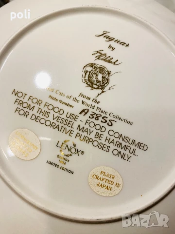 порцеланова чиния за стена 6 , снимка 3 - Декорация за дома - 51183960