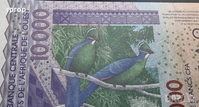 Западно Африкански Щати.10 000 франка. 2003 г. Най големият номинал.Буква D - Мали. UNC., снимка 3 - Нумизматика и бонистика - 46078656