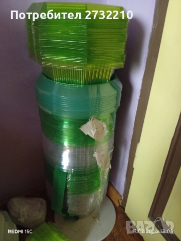 Саксии, снимка 2 - Саксии и кашпи - 53924377